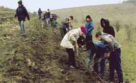 Pupils from Rascaeti village took an active part in creating the steppe sector 